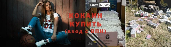твердый Аркадак